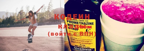 индика Бронницы