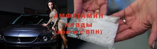 индика Бронницы