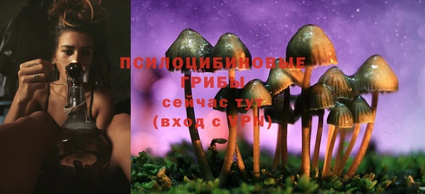 кристаллы Богородск