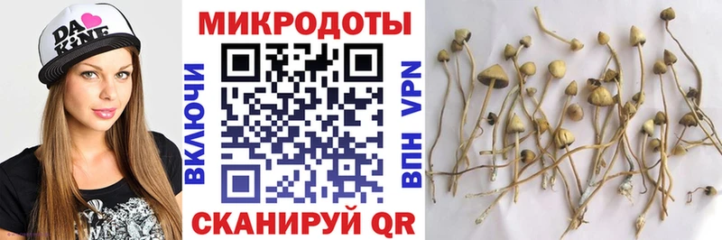 Псилоцибиновые грибы ЛСД  Верхняя Пышма 